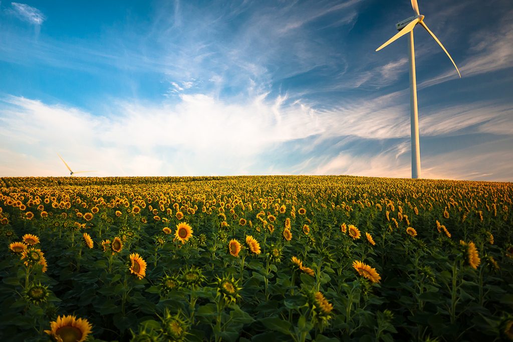 POST2 windpower flowers 1024x683 - 6 Undeniable Benefits of Renewable Energy Solutions in Canada